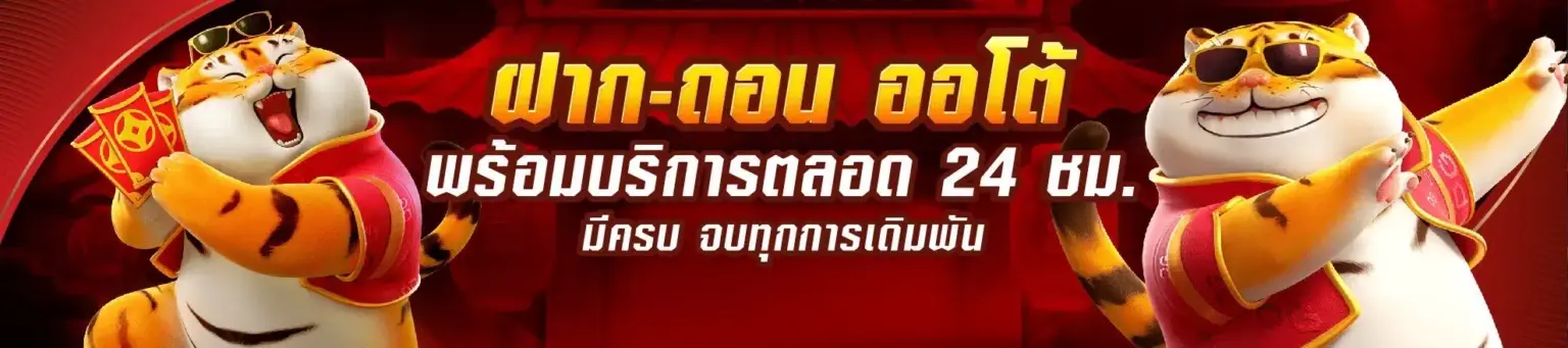 Zeed Wallet banner jpeg